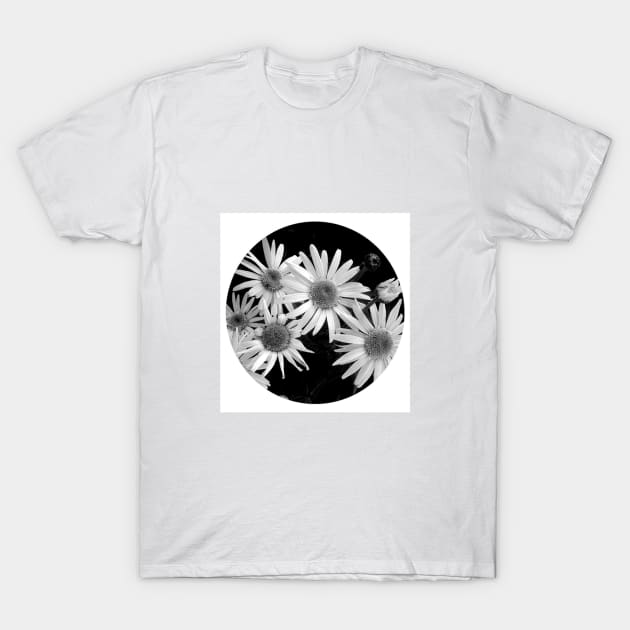 Flower photo - Photography - T-Shirt | TeePublic